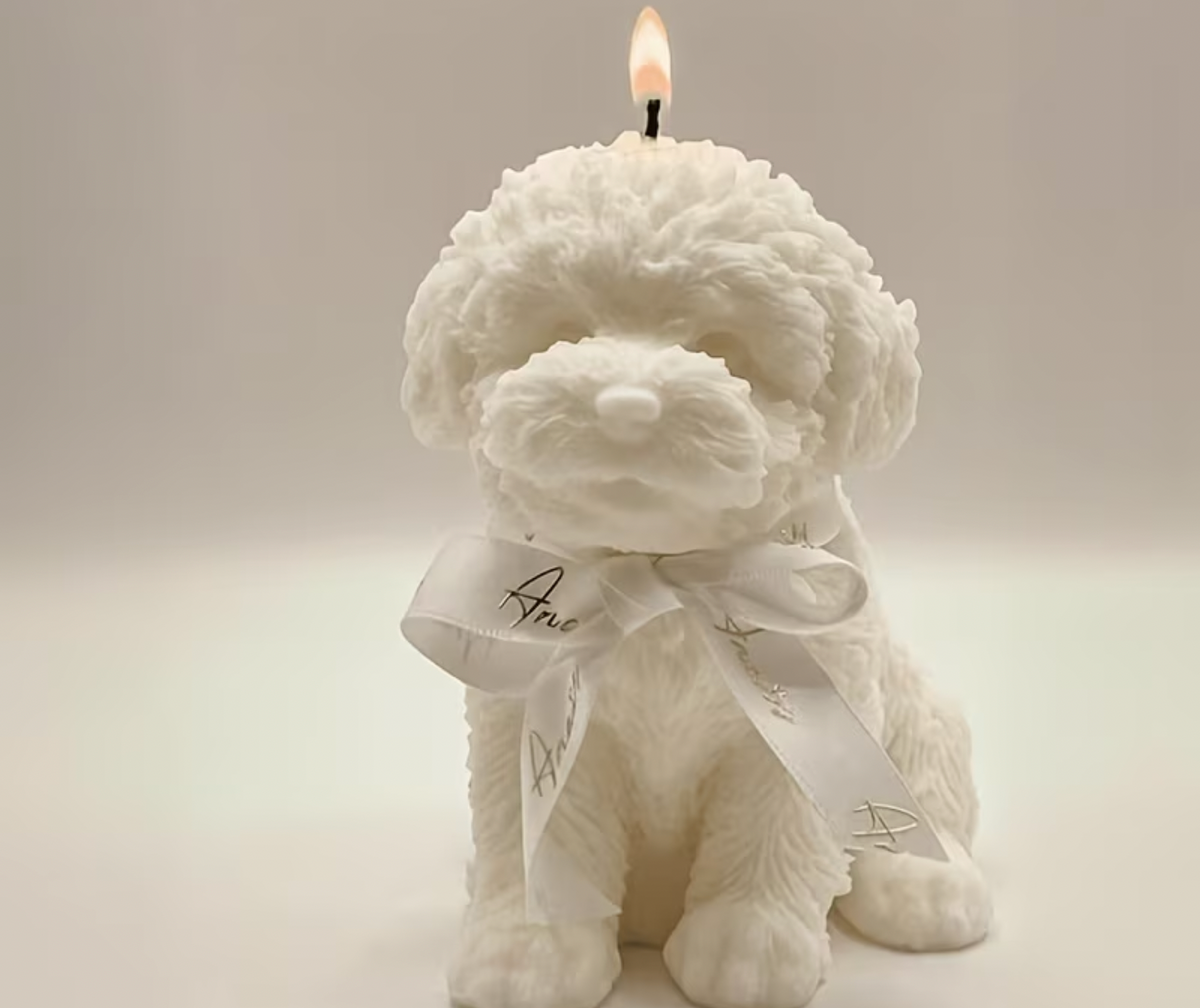 Hondje