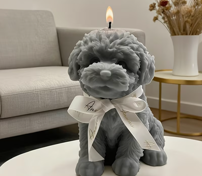 Hondje