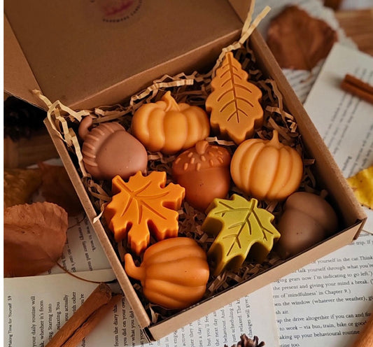 Autumn wax melts
