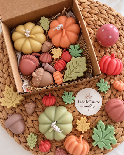 Herfst box (Kaarsen&Waxmelts)🍂