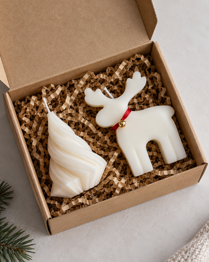 Kerstdoos geschenk 2 delig ❄️🎄