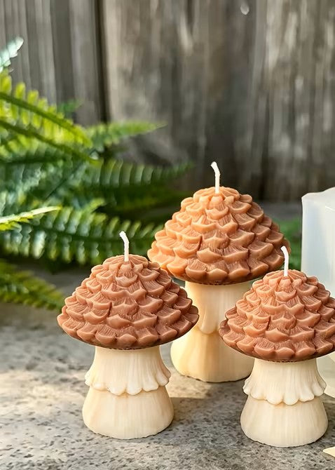 Paddenstoel 🍄