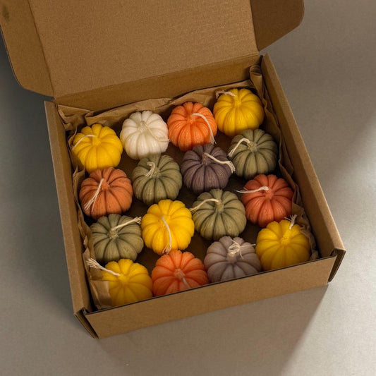 pompoen set Maat M 🎃🍂
